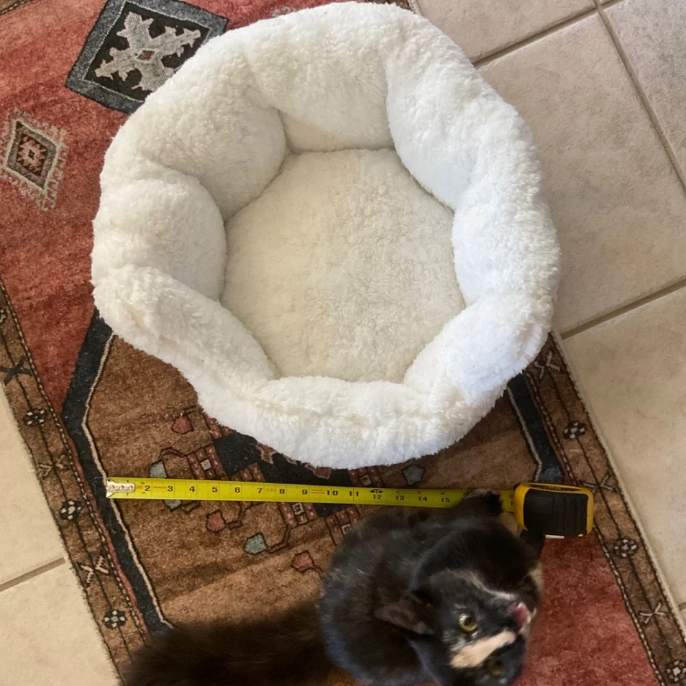 Cat Bed